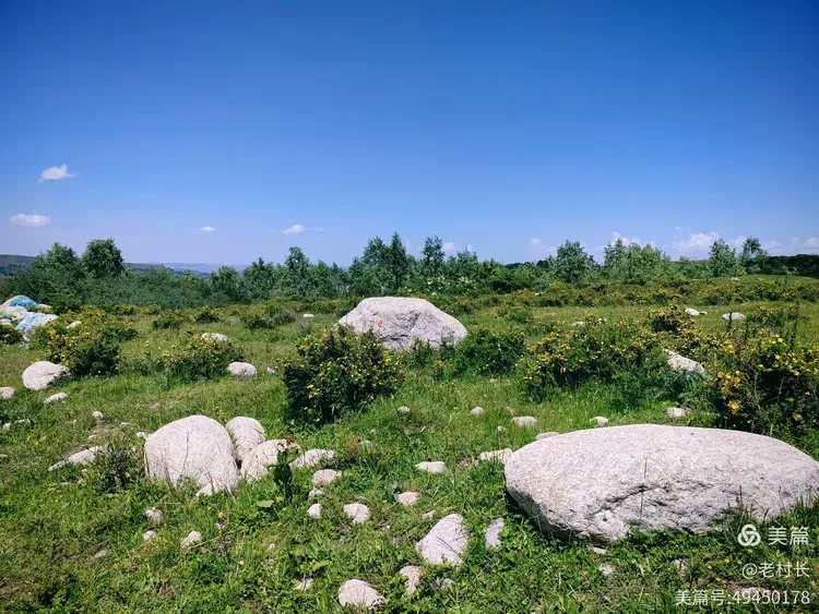 积石山黄草坪风景如画